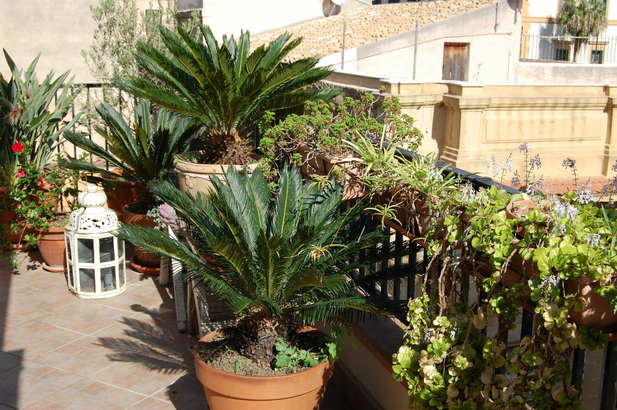 Portatenea - Atenea Collection Agrigento Exterior photo